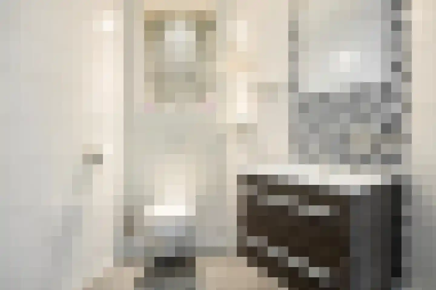 Reaumurstraat 7 Schiedam thumbnail 6
