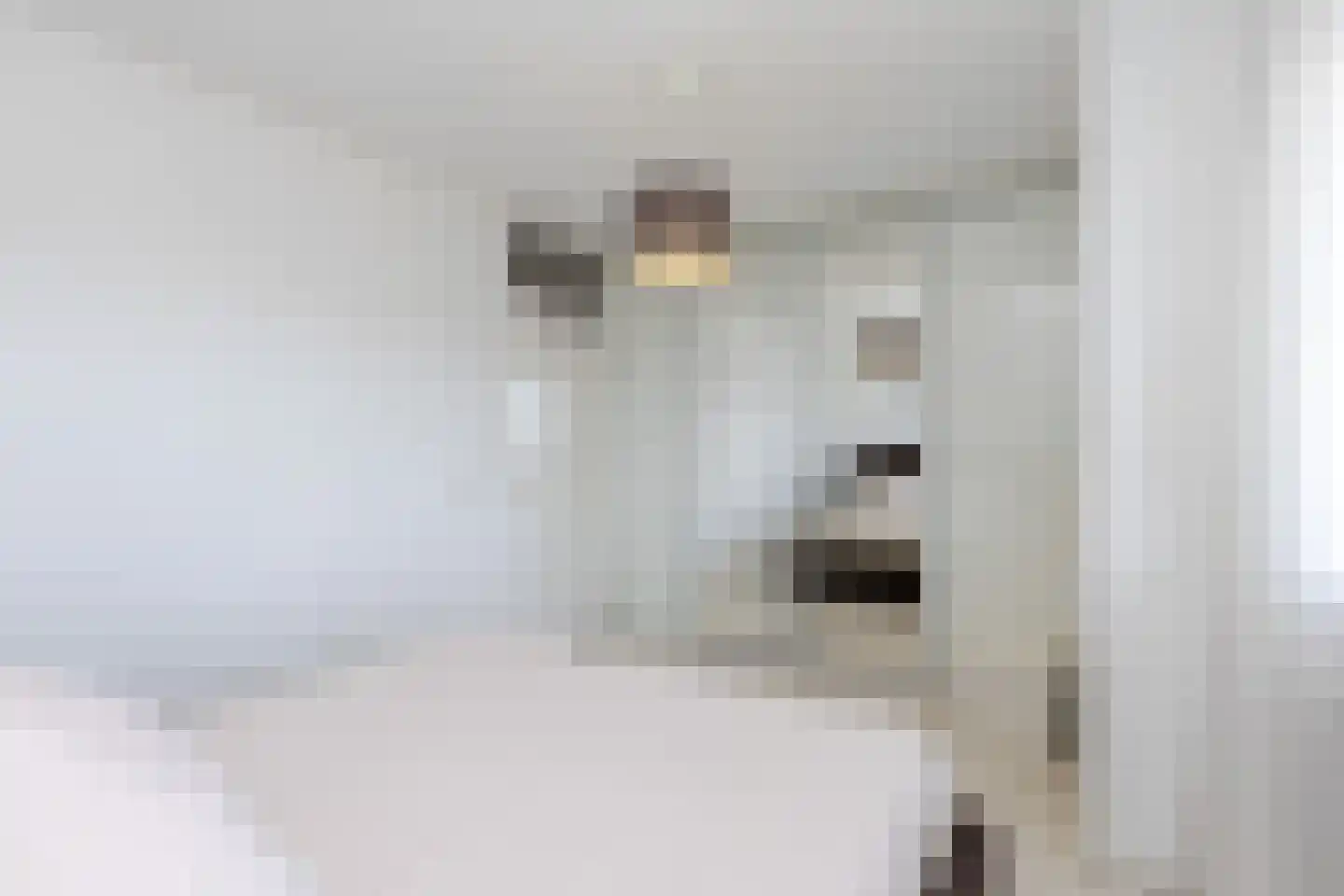 Reaumurstraat 71 Schiedam thumbnail 32