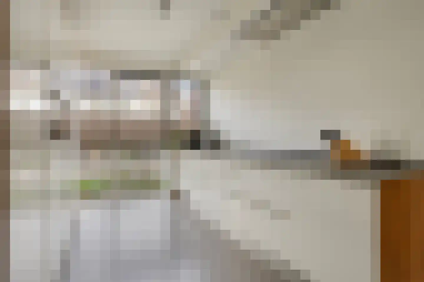 Rebergenhof 9 Veenendaal thumbnail 14