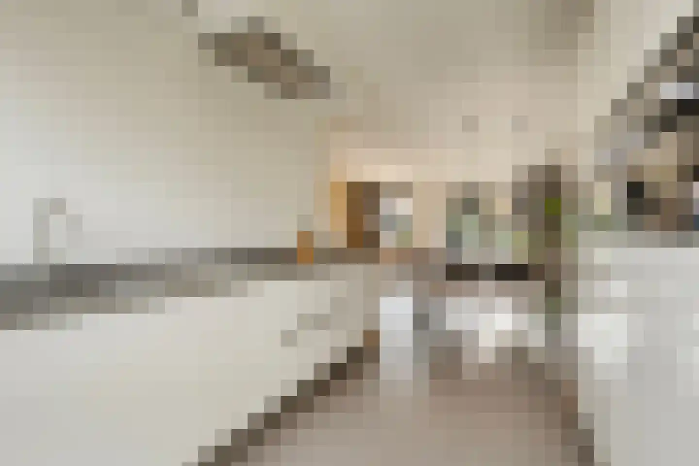 Rebergenhof 9 Veenendaal thumbnail 15