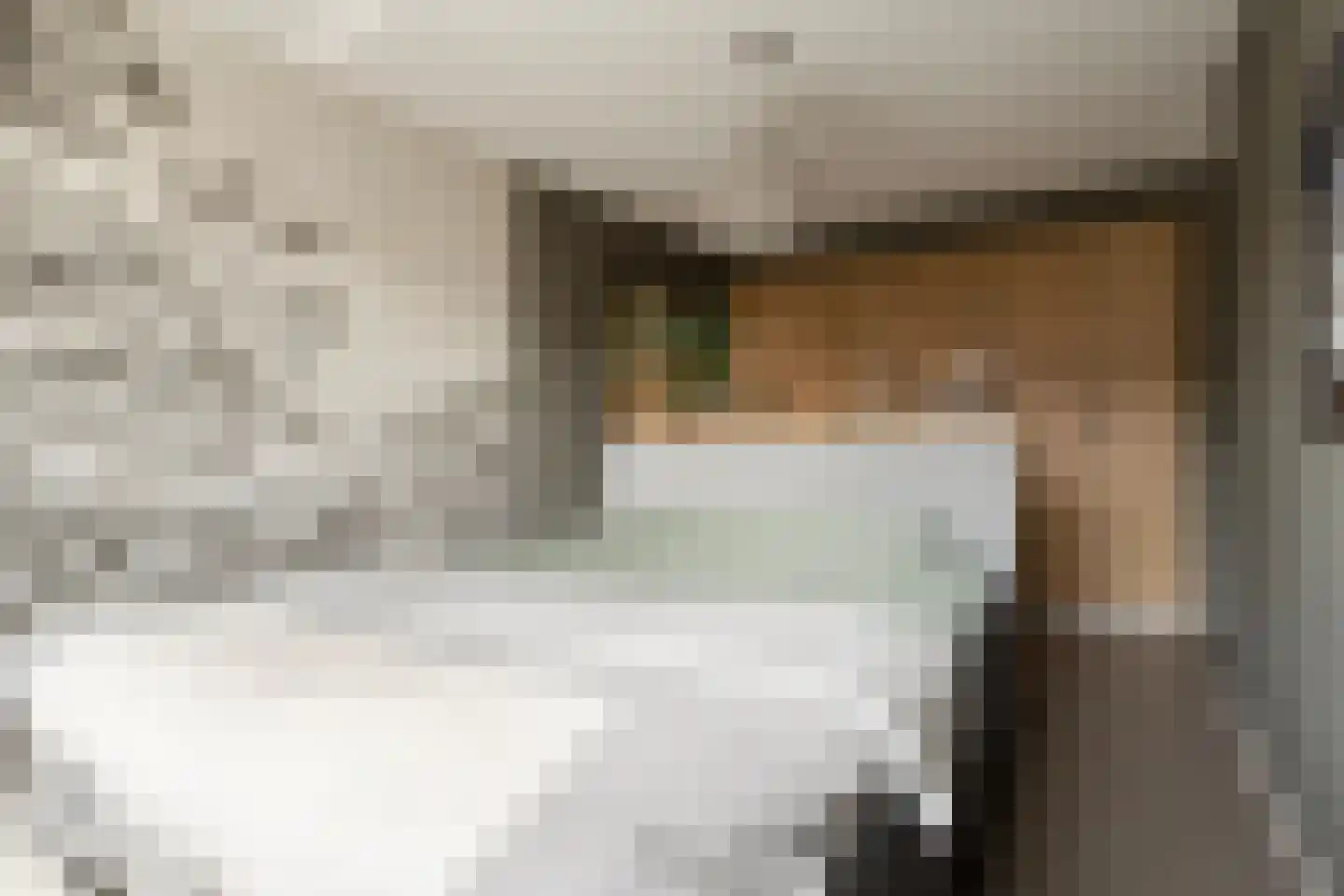 Rebergenhof 9 Veenendaal thumbnail 17