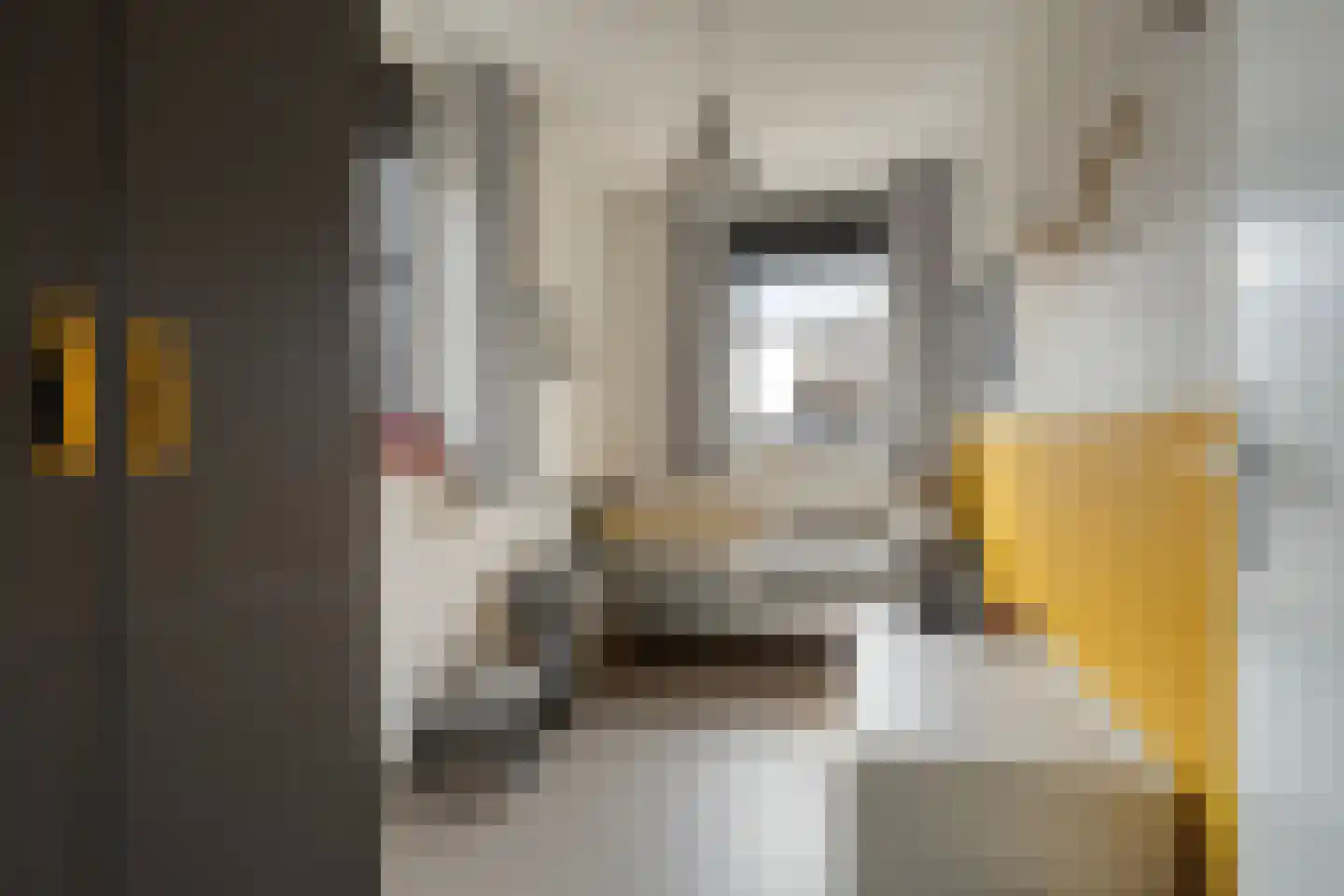 Rebergenhof 9 Veenendaal thumbnail 18