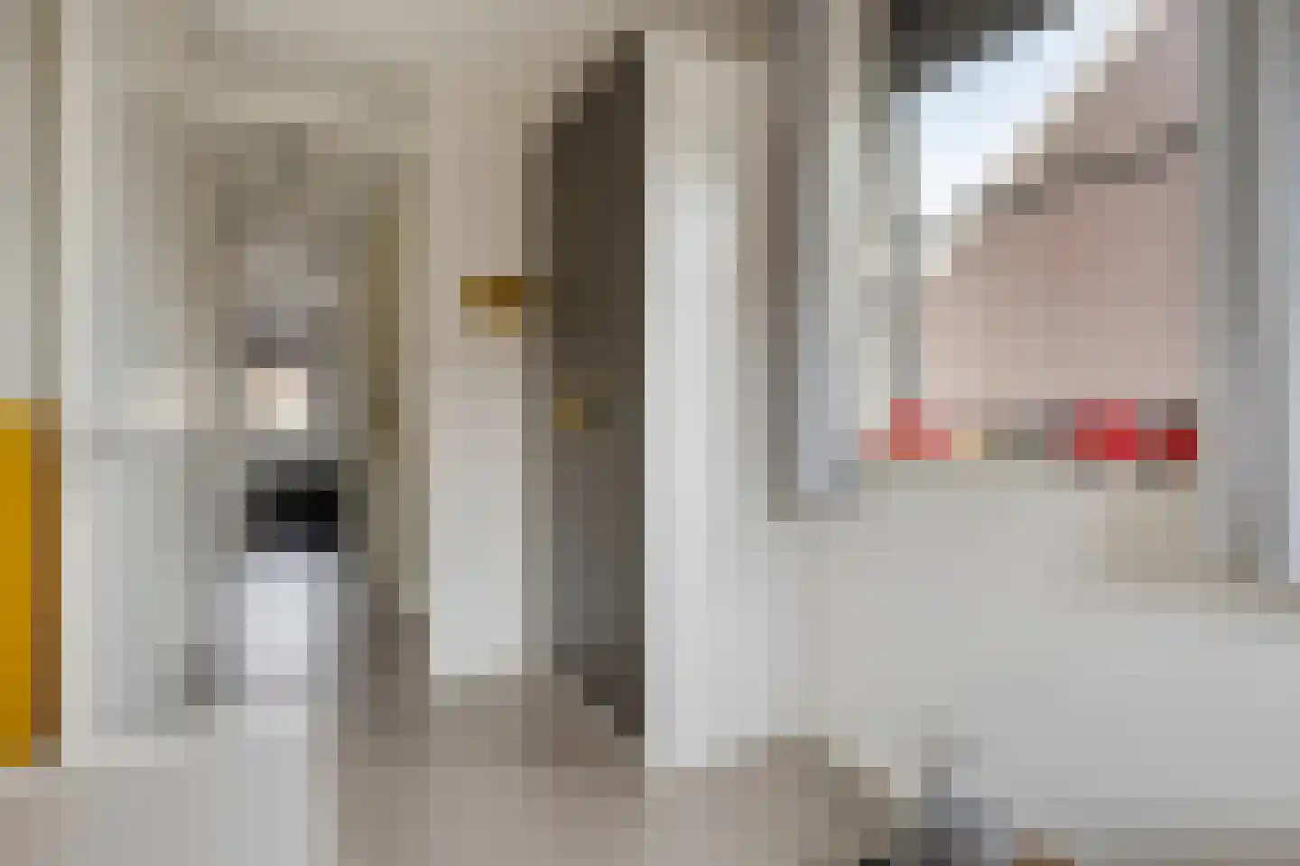Rebergenhof 9 Veenendaal thumbnail 19