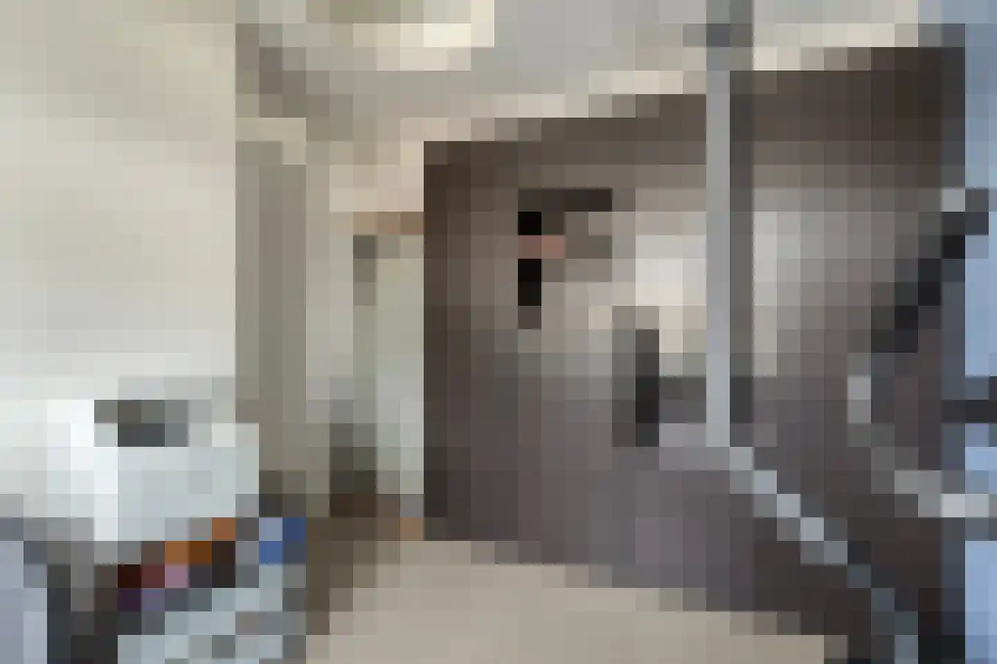 Rebergenhof 9 Veenendaal thumbnail 21