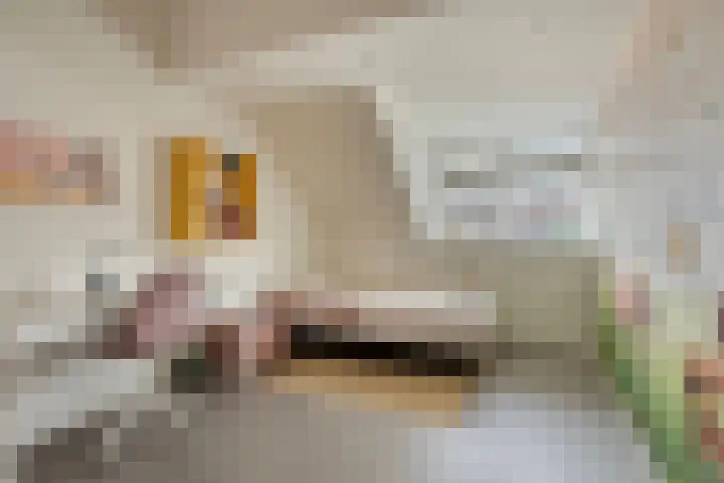 Rebergenhof 9 Veenendaal thumbnail 27