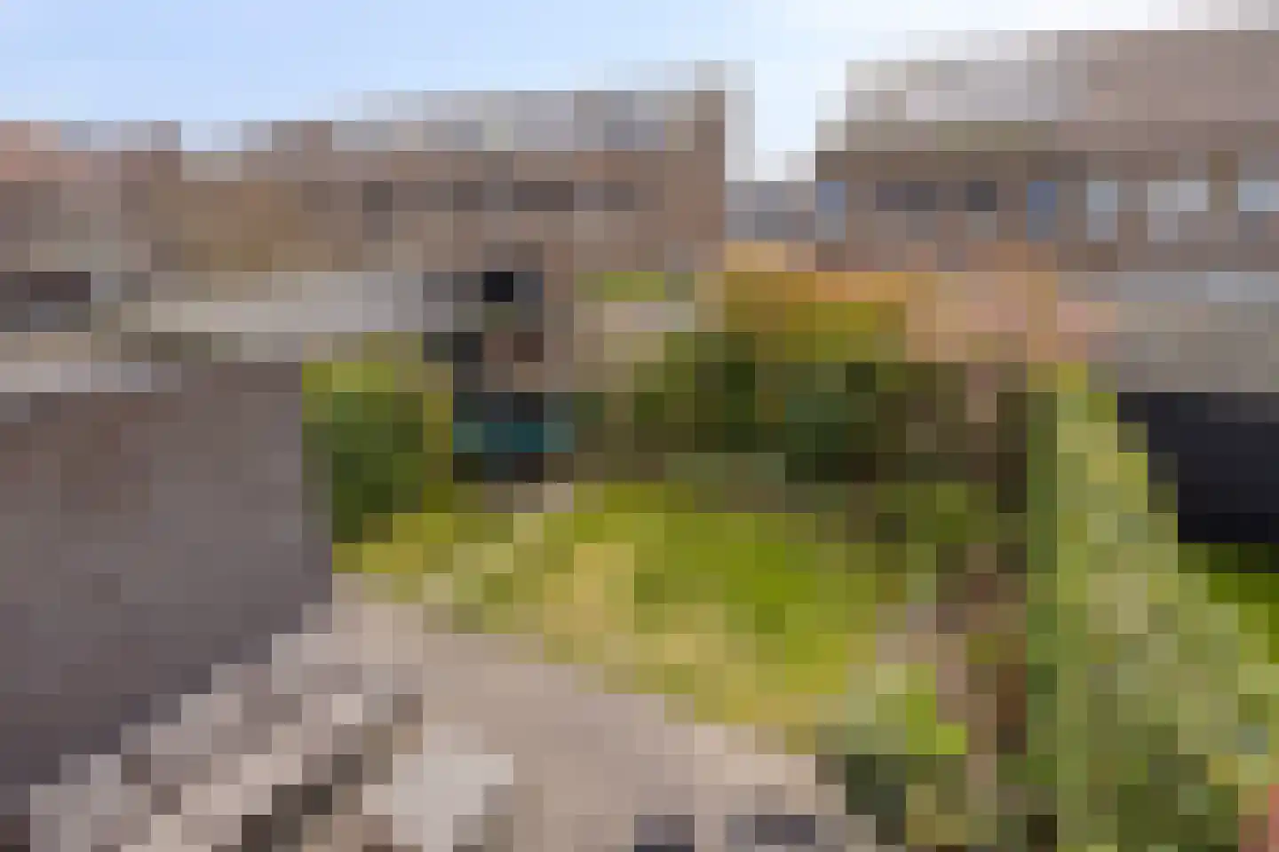 Rebergenhof 9 Veenendaal thumbnail 30