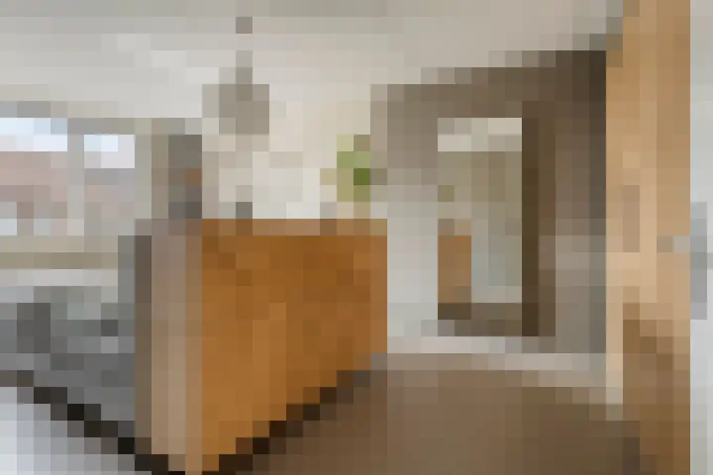 Rebergenhof 9 Veenendaal thumbnail 4