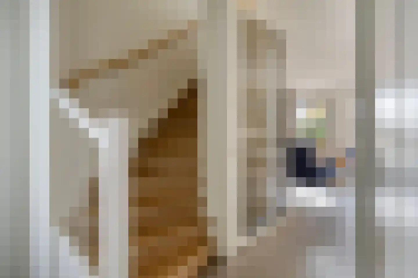 Rebergenhof 9 Veenendaal thumbnail 8