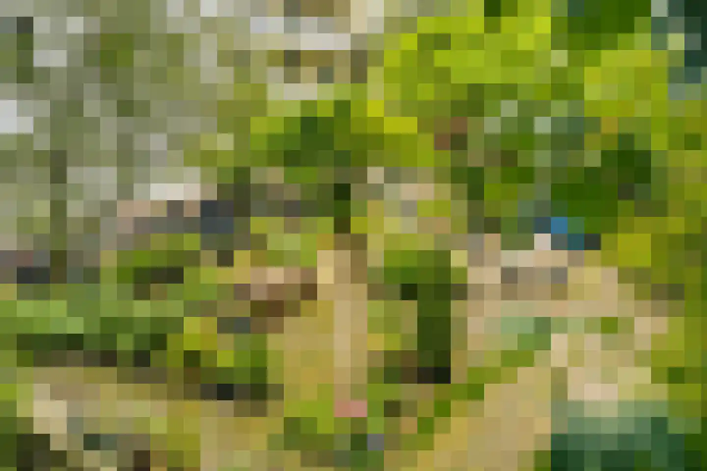 Recht Boomssloot 22 B Amsterdam thumbnail 27