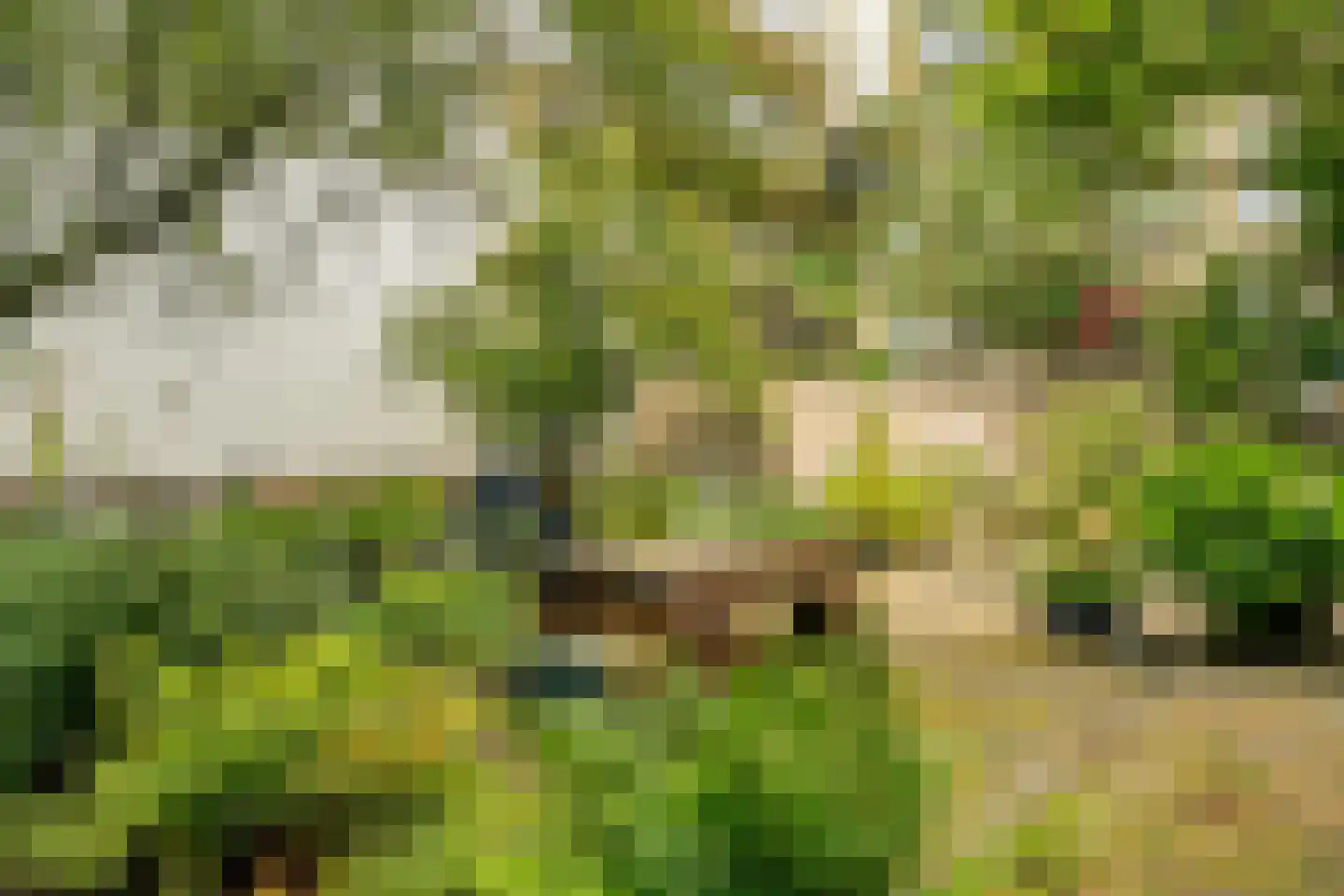 Recht Boomssloot 22 B Amsterdam thumbnail 28