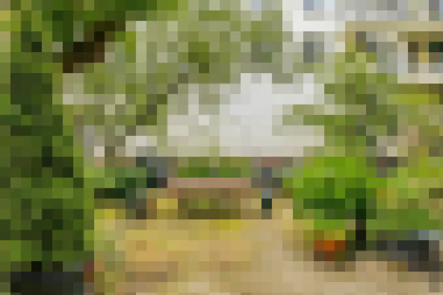 Recht Boomssloot 22 B Amsterdam thumbnail 29