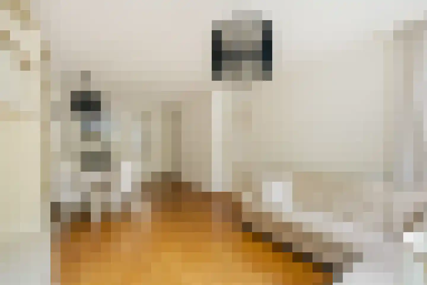 Recht Boomssloot 22 B Amsterdam thumbnail 6
