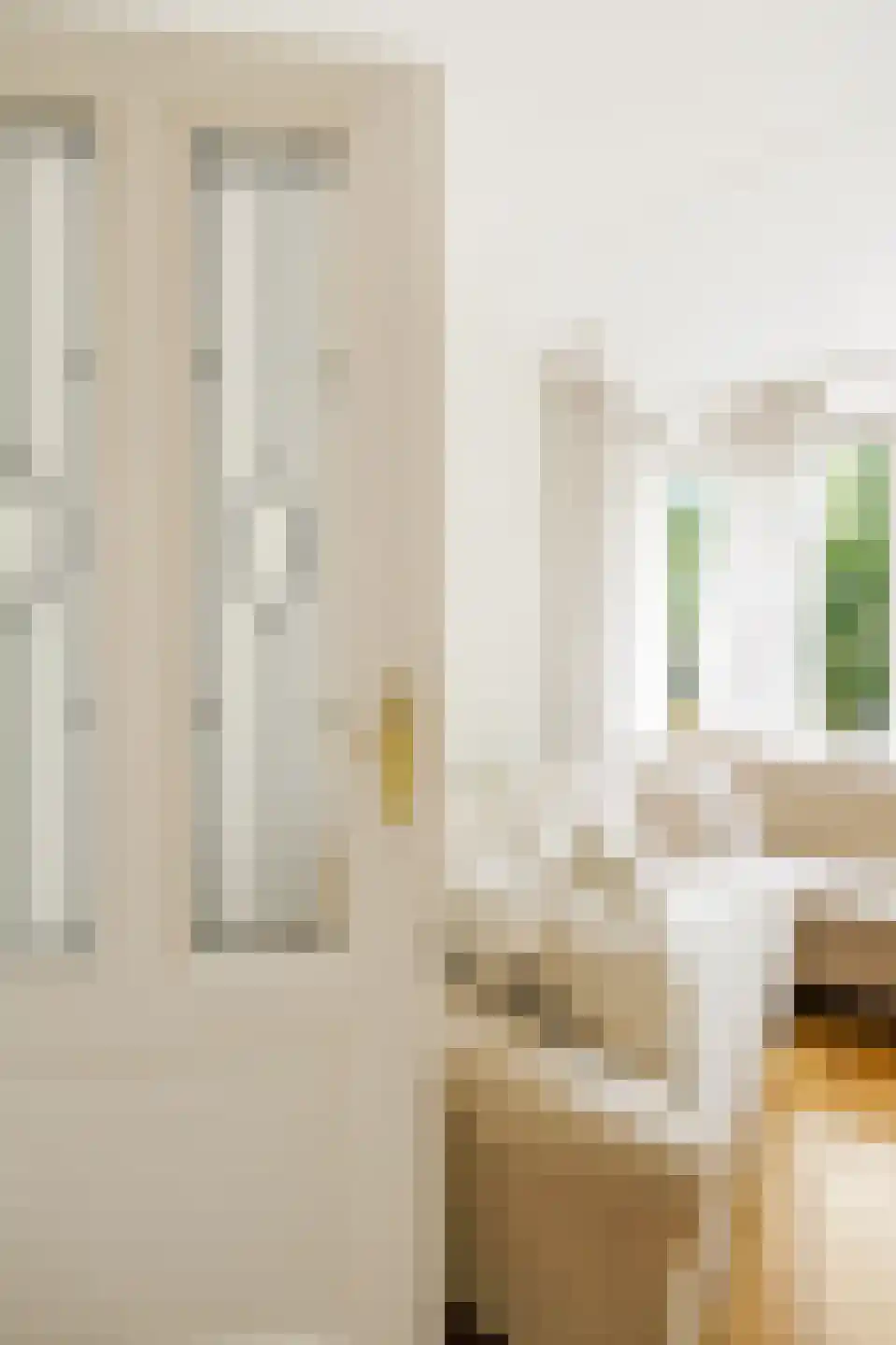 Recht Boomssloot 22 B Amsterdam thumbnail 9