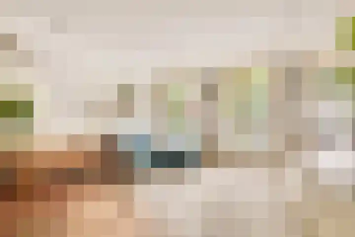 Recht Boomssloot 35 O Amsterdam thumbnail 6