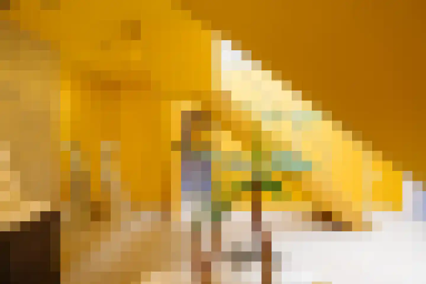 Recht Boomssloot 41 3 Amsterdam thumbnail 18
