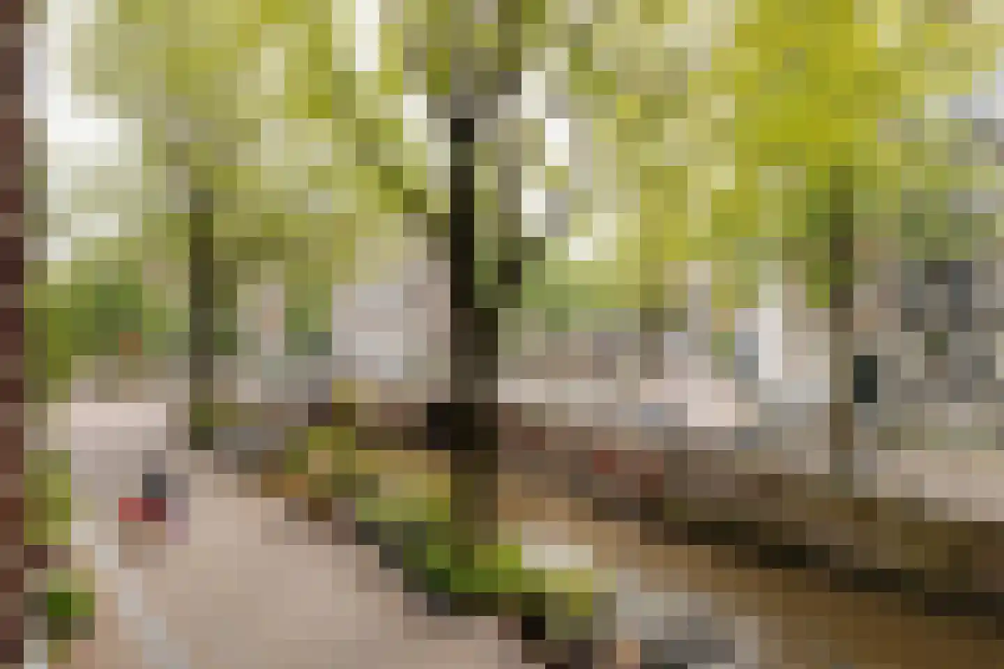 Recht Boomssloot 41 3 Amsterdam thumbnail 37