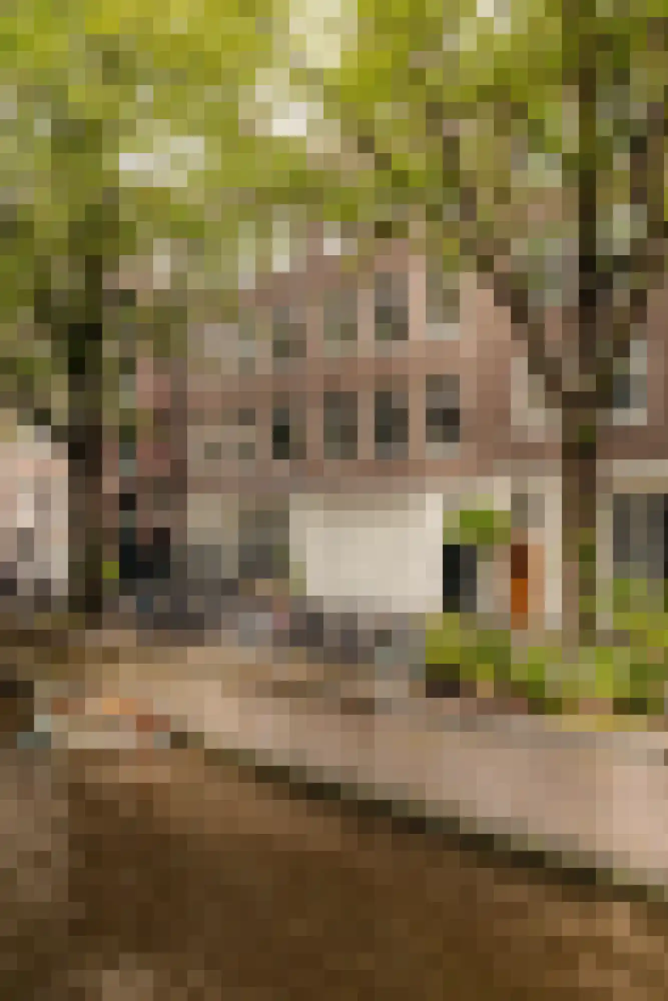 Recht Boomssloot 41 3 Amsterdam thumbnail 40