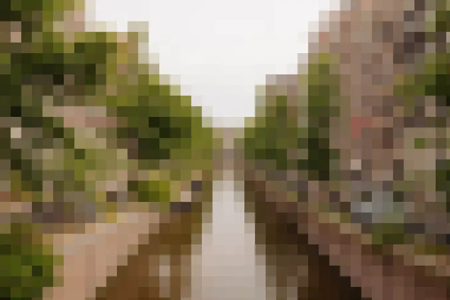 Recht Boomssloot 41 3 Amsterdam thumbnail 42
