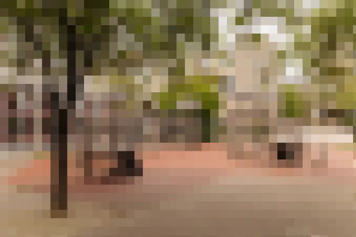 Recht Boomssloot 41 3 Amsterdam thumbnail 43