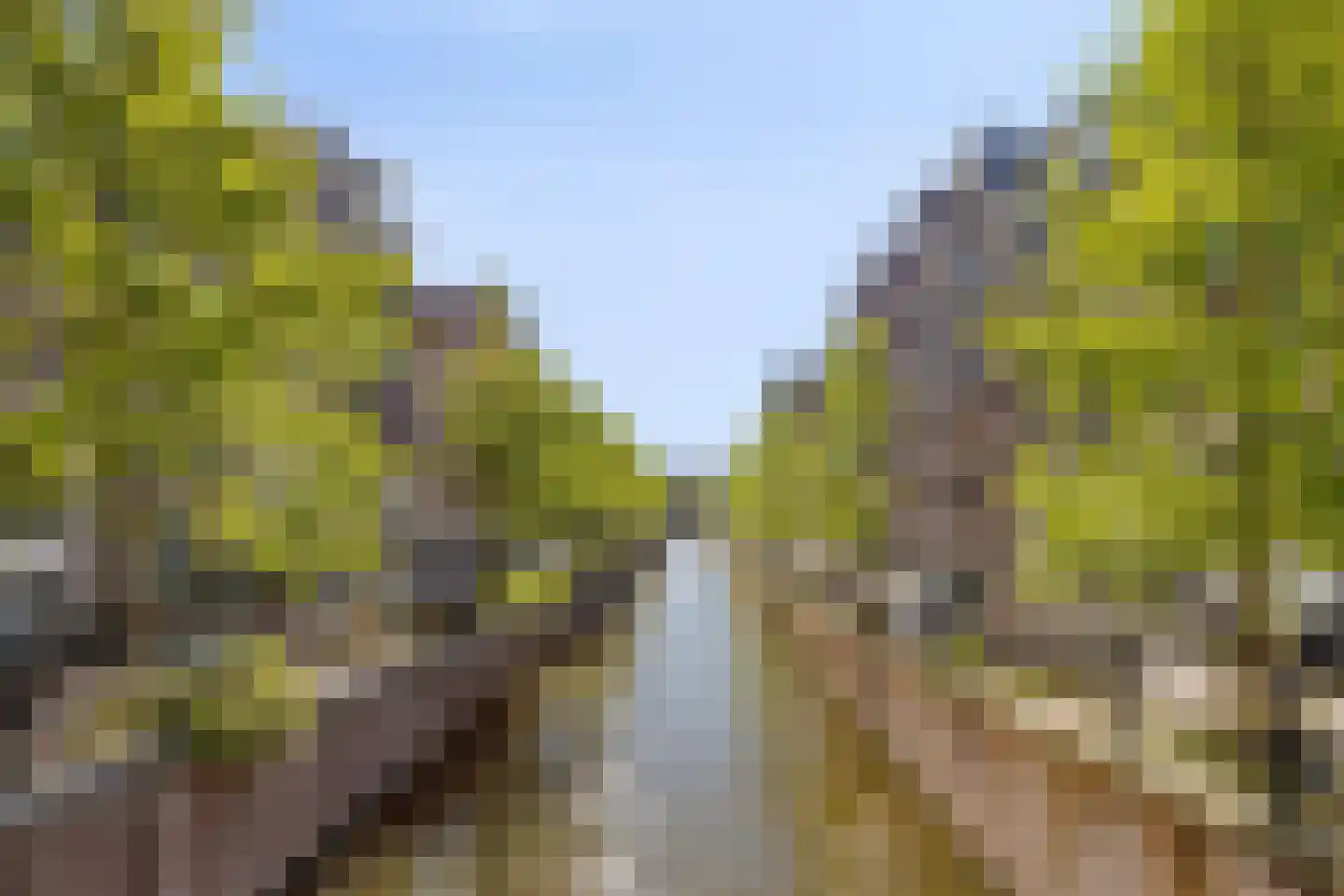 Recht Boomssloot 42 B Amsterdam thumbnail 22