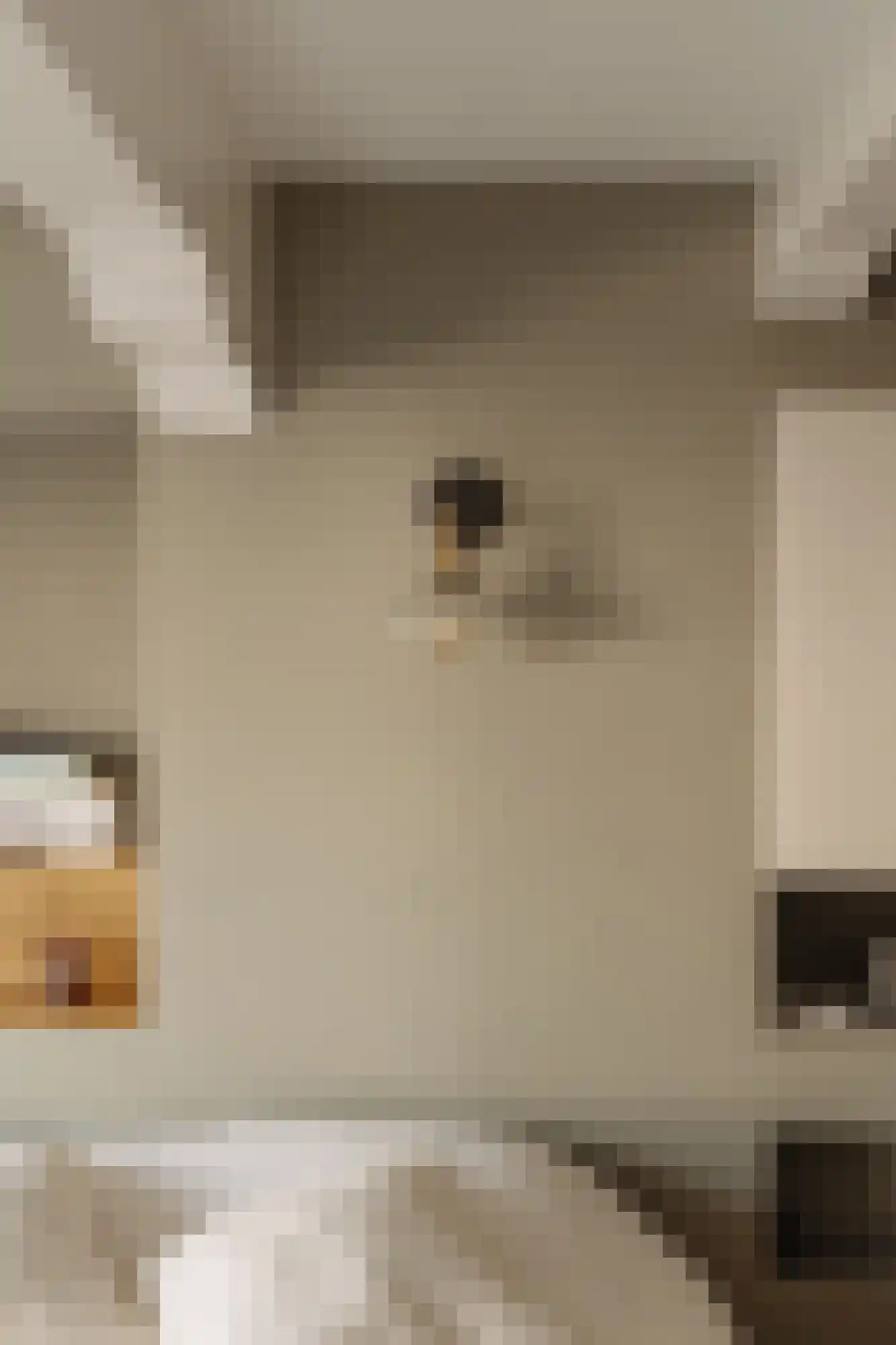 Recht Boomssloot 47 A Amsterdam thumbnail 18