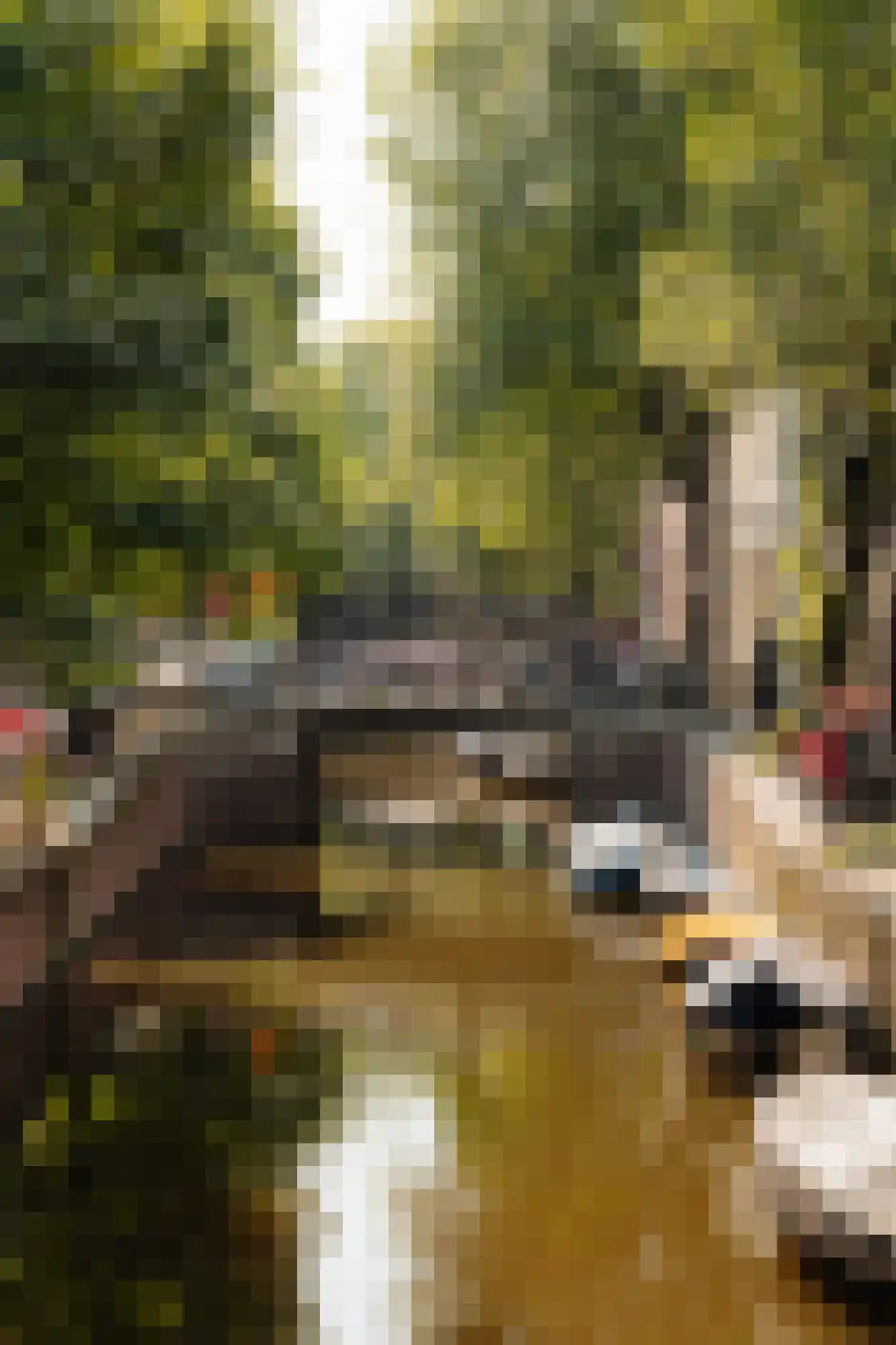 Recht Boomssloot 47 A Amsterdam thumbnail 24
