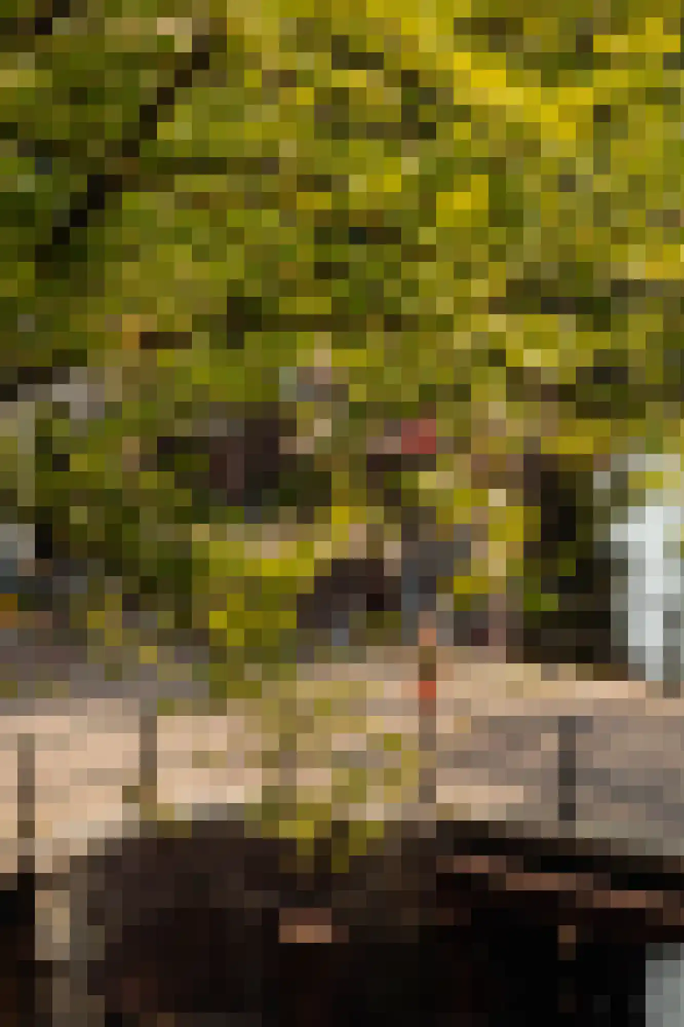 Recht Boomssloot 47 A Amsterdam thumbnail 8
