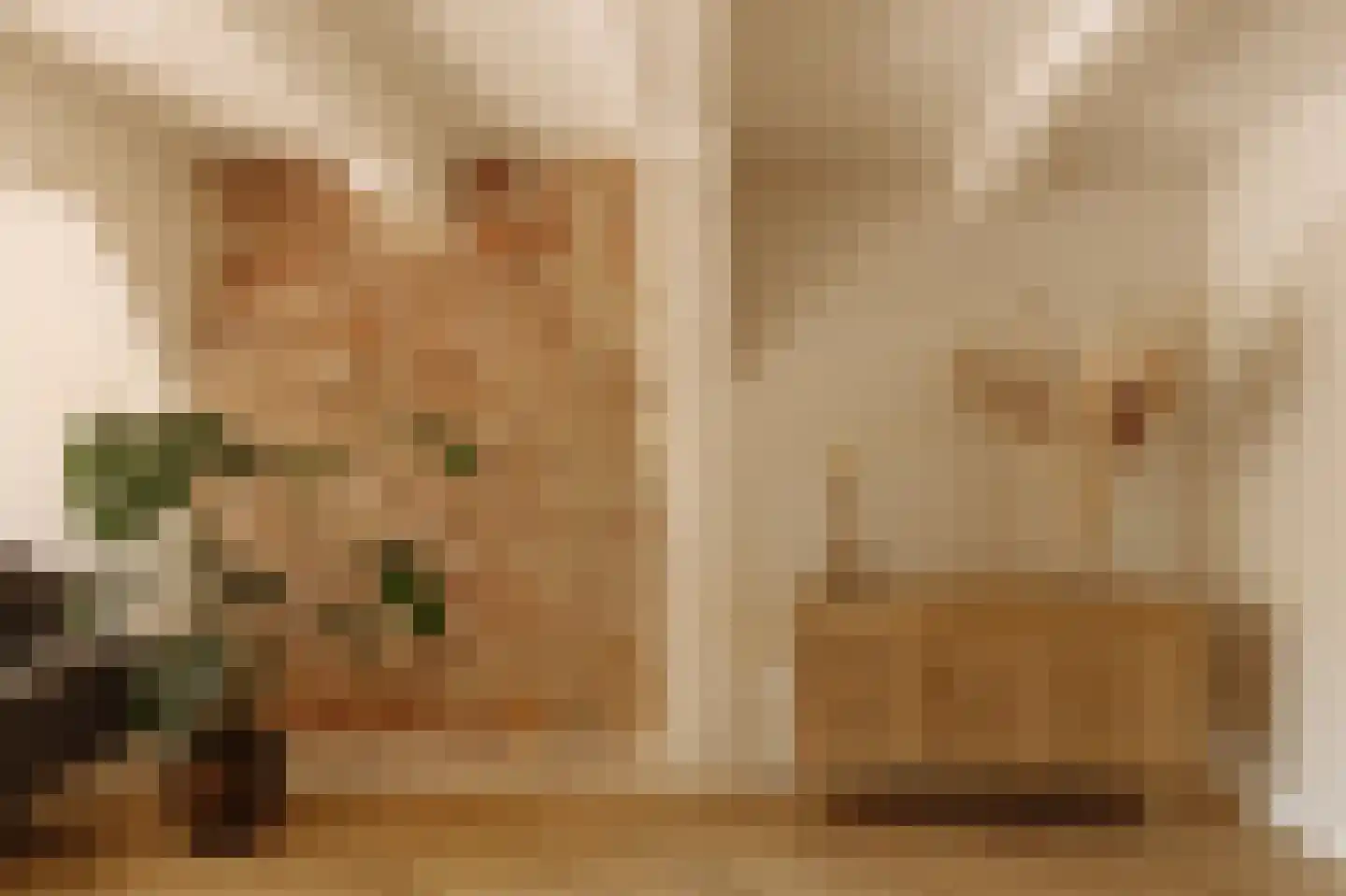 Recht Boomssloot 47 A Amsterdam thumbnail 9
