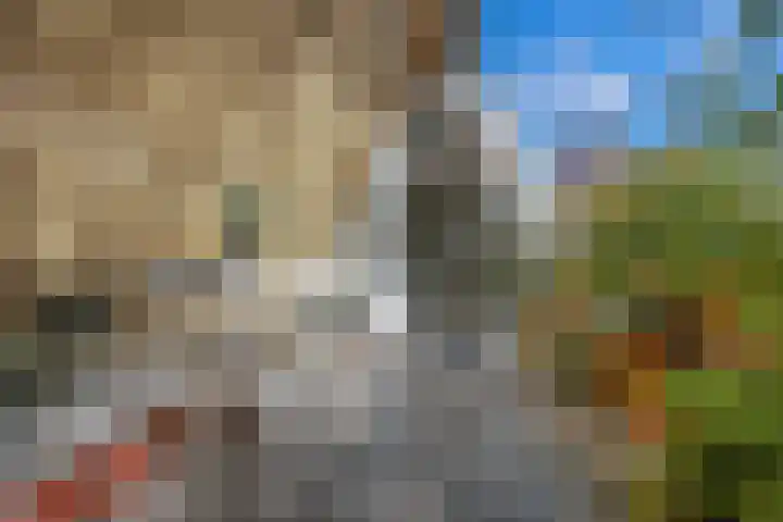 Recht Boomssloot 47 C Amsterdam thumbnail 25