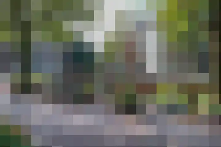 Recht Boomssloot 47 C Amsterdam thumbnail 28