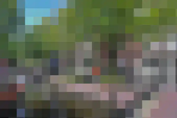 Recht Boomssloot 47 C Amsterdam thumbnail 30