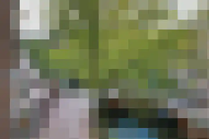 Recht Boomssloot 47 C Amsterdam thumbnail 6