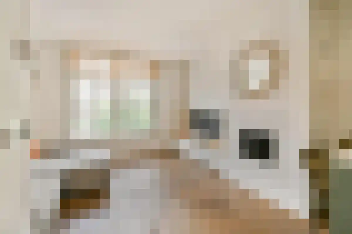 Recht Boomssloot 55 Amsterdam thumbnail 6