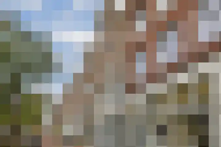 Recht Boomssloot 61 H Amsterdam thumbnail 21