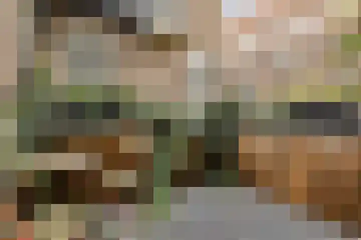 Recht Boomssloot 61 H Amsterdam thumbnail 8