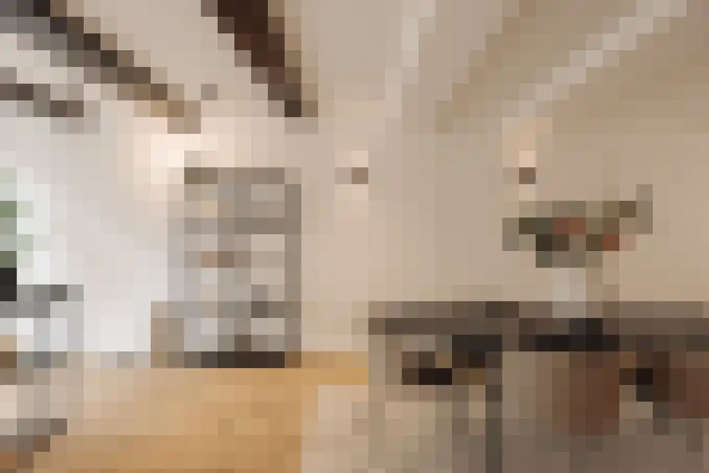 Recht Boomssloot 80 H Amsterdam thumbnail 10
