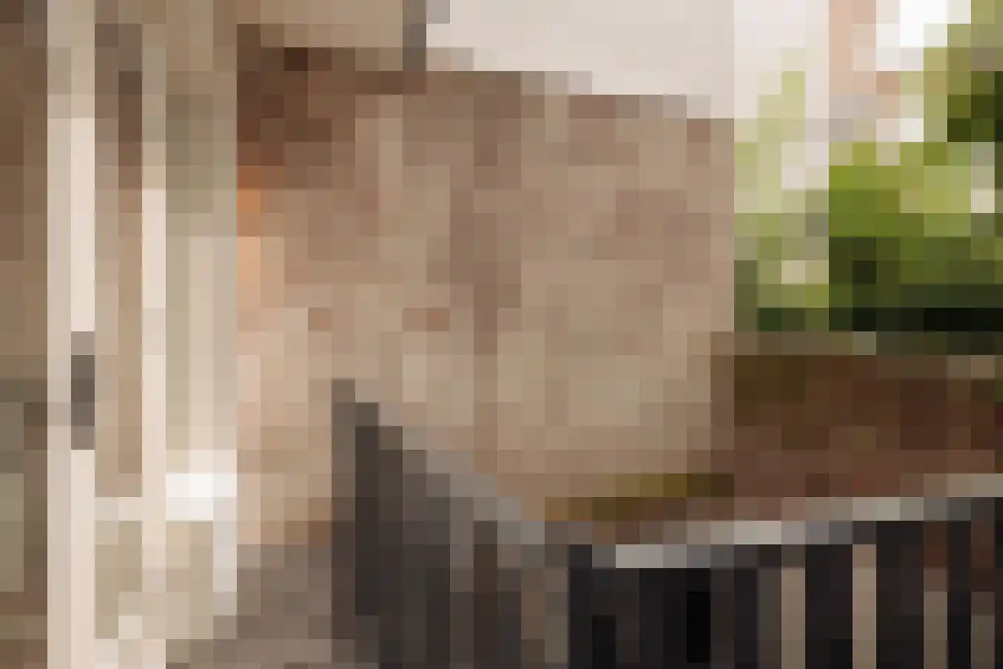 Recht Boomssloot 80 H Amsterdam thumbnail 16