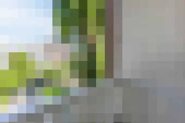 Recht Boomssloot 83 1 Amsterdam thumbnail 17