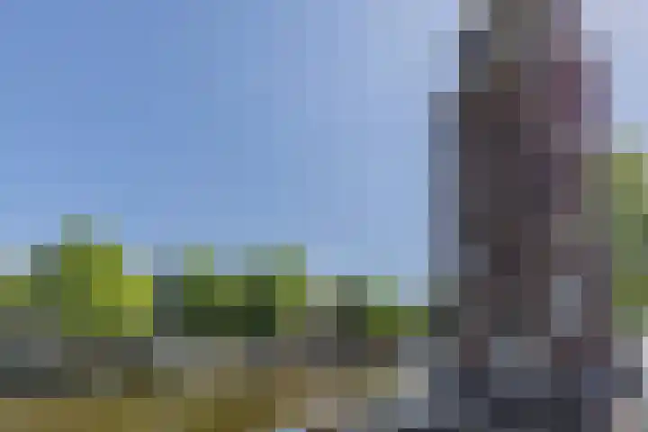 Recht Boomssloot 83 1 Amsterdam thumbnail 27