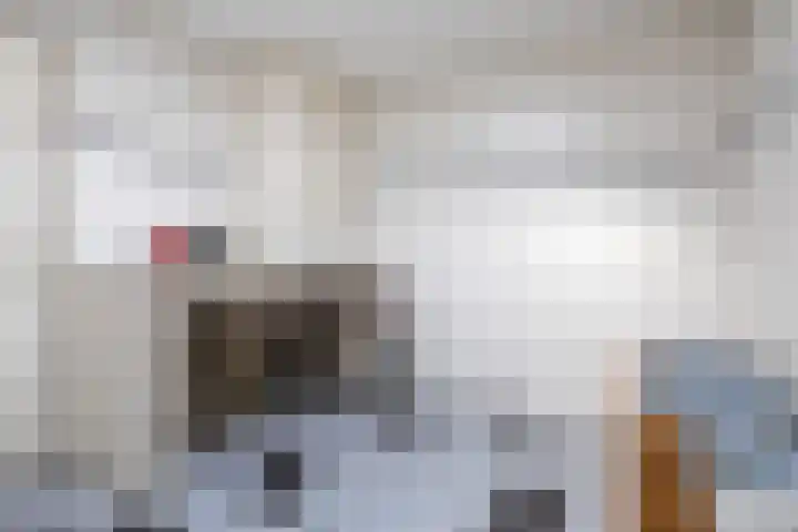 Rechte Hondsbosschelaan 5 Heiloo thumbnail 10