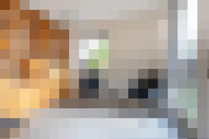 Rechte Hondsbosschelaan 5 Heiloo thumbnail 11