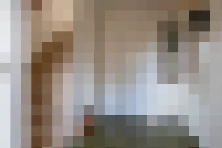 Rechte Hondsbosschelaan 5 Heiloo thumbnail 13
