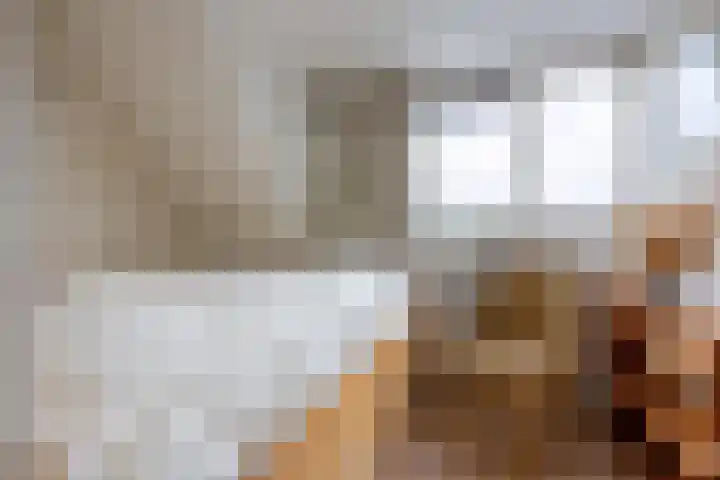 Rechte Hondsbosschelaan 5 Heiloo thumbnail 17