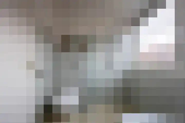 Rechte Hondsbosschelaan 5 Heiloo thumbnail 19