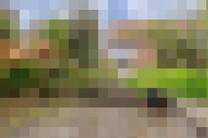 Rechte Hondsbosschelaan 5 Heiloo foto 2
