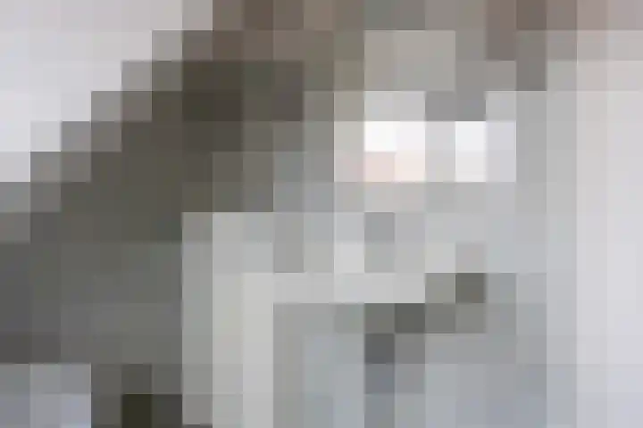Rechte Hondsbosschelaan 5 Heiloo thumbnail 20