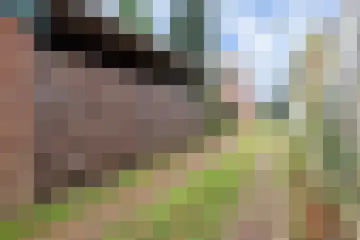 Rechte Hondsbosschelaan 5 Heiloo thumbnail 29