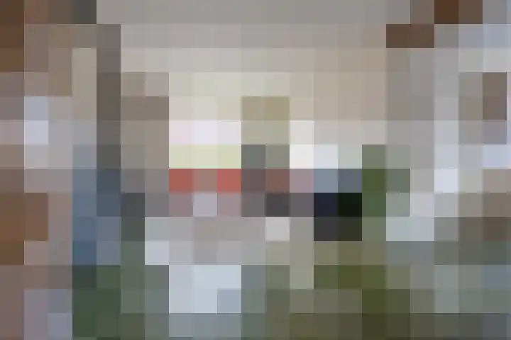 Rechte Hondsbosschelaan 5 Heiloo foto 3
