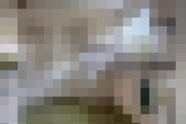 Rechte Hondsbosschelaan 5 Heiloo thumbnail 9