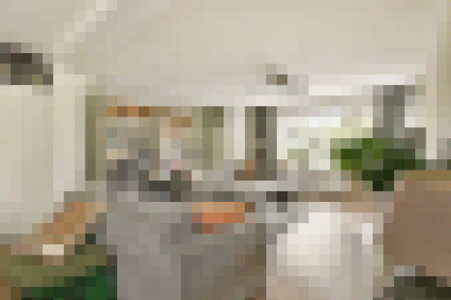 Rechte Zandweg 46 Dordrecht thumbnail 14